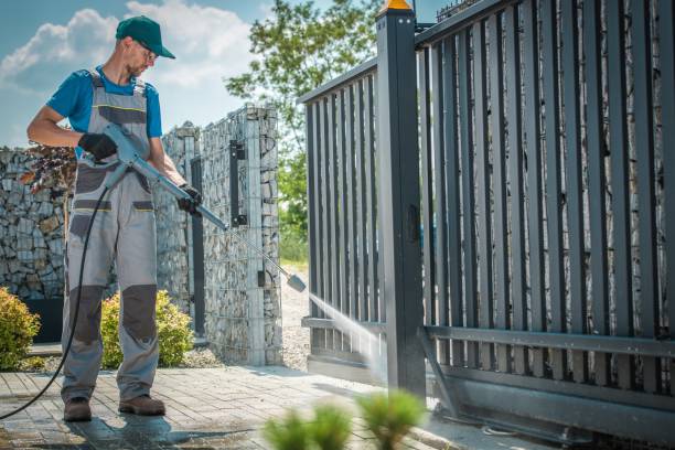 Best Gutter Cleaning  in Lake Arbor, MD